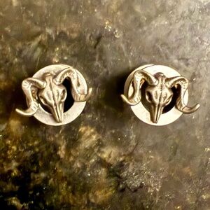 Silver Ram Head 00g Tunnels